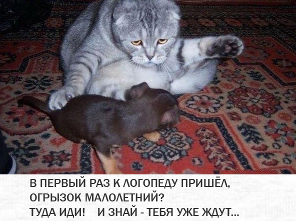 ������� ��� ��������.