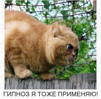 ������� ��� ��������.