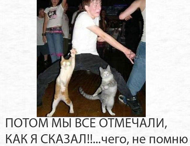 ������� ���� �������� ��� ��������. ��������� ���� �