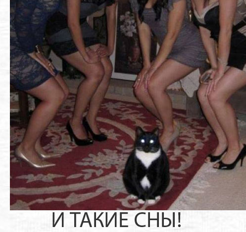 ������� ���� �������� ��� ��������. ��������� ���� �